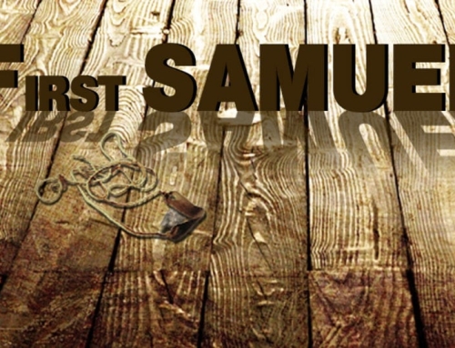 1 Samuel 30-31