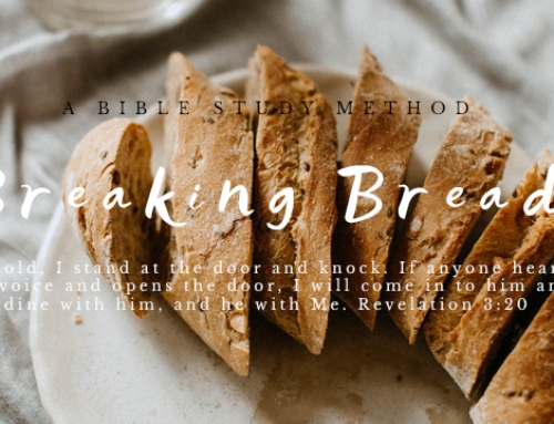 Flying Solo-Wrapping It Up